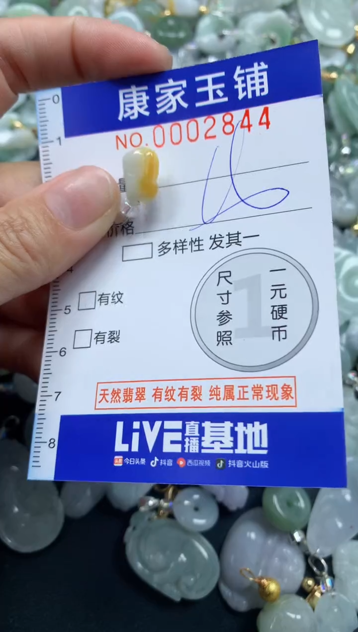 颈饰未镶嵌翡翠2844