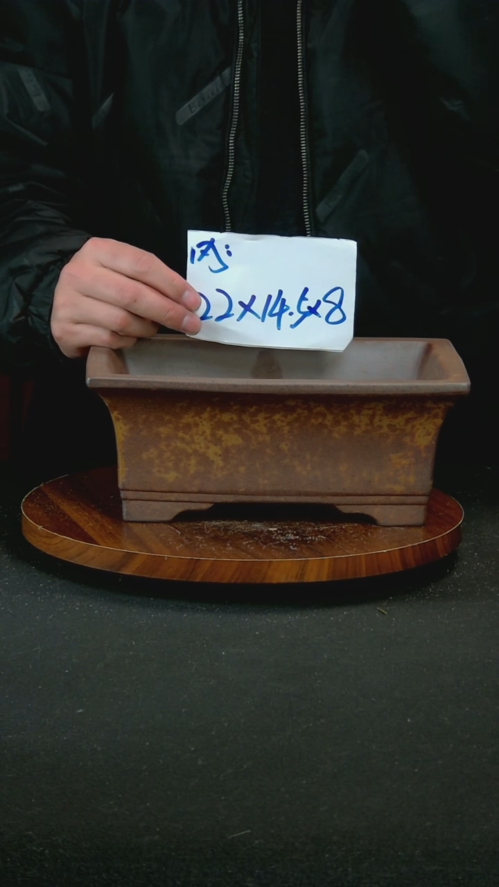 【闪购商品】紫砂G38