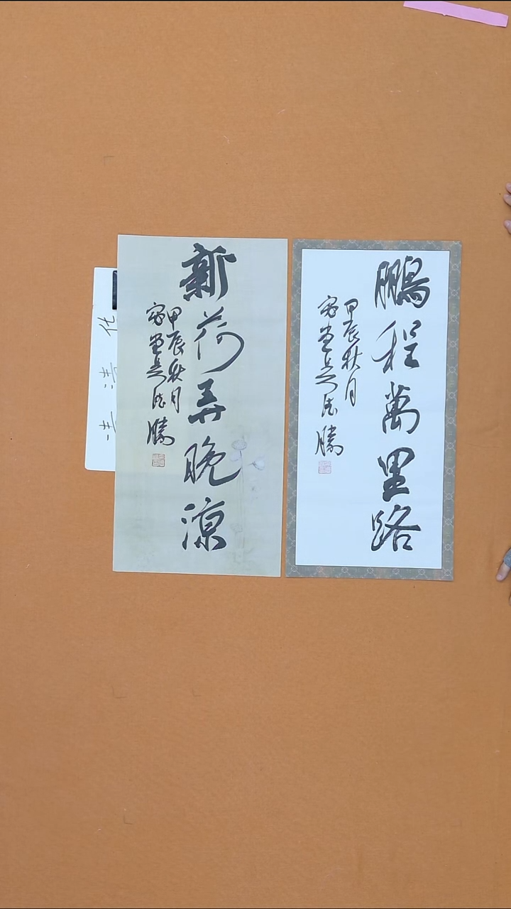 书法吴德胜江西理S 兰亭书家 34*68*2 