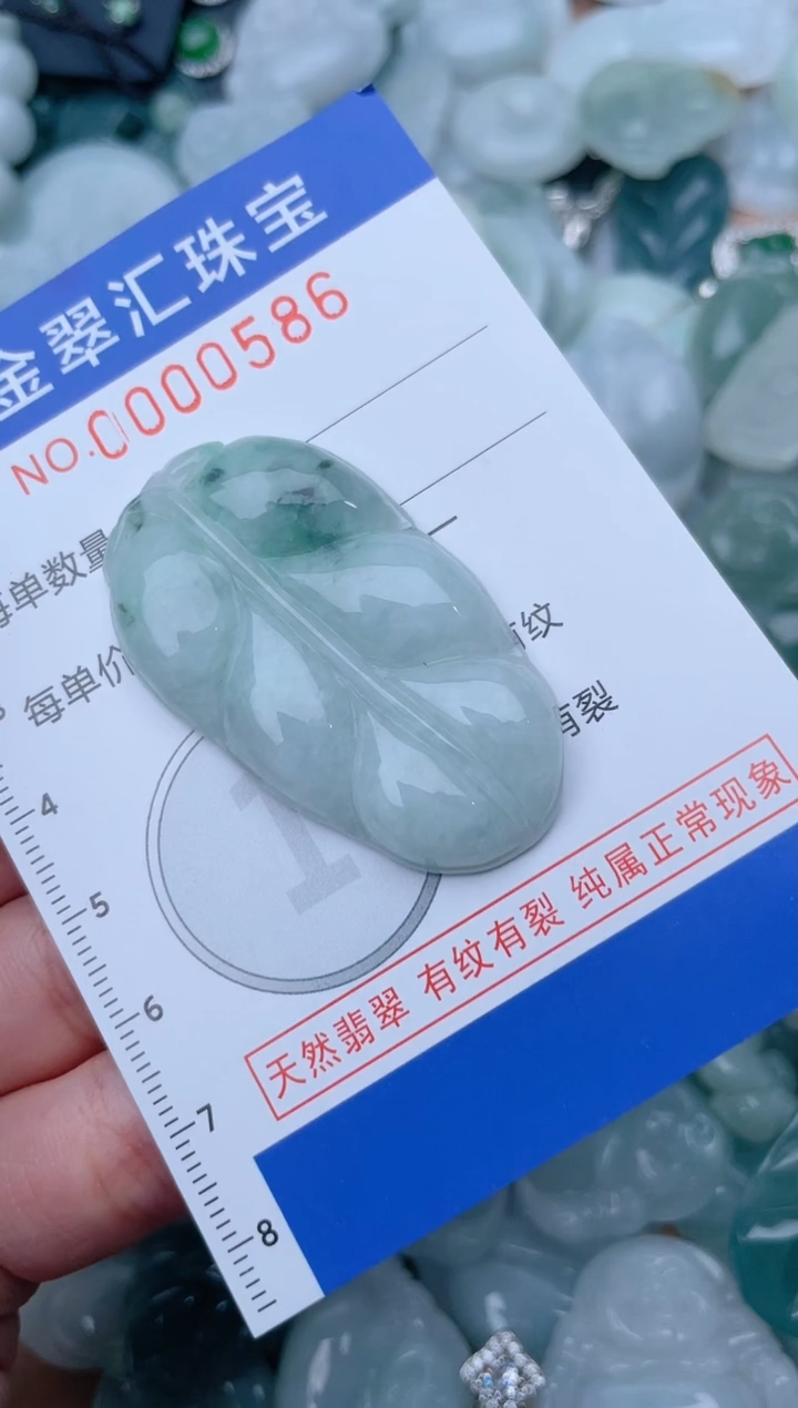 翡翠未镶嵌颈饰586