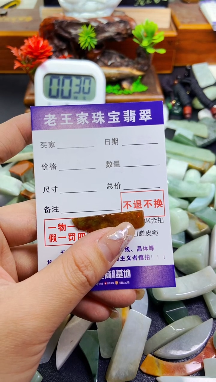 【闪购商品】翡翠颈饰未镶嵌料子