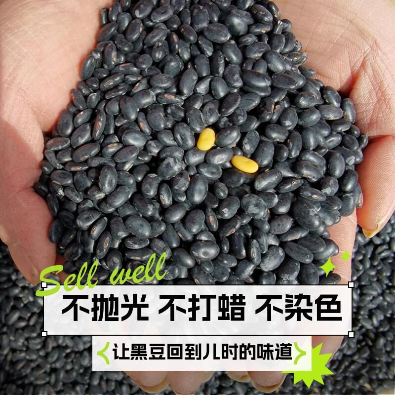 老品种黄心黑豆 农家新黑豆老品种打豆浆肾形黄芯黑豆发豆芽黑豆