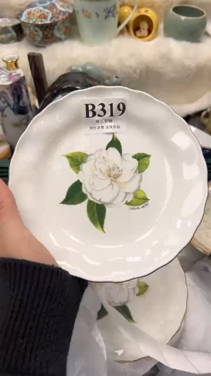 【闪购商品】瓷片          B319
