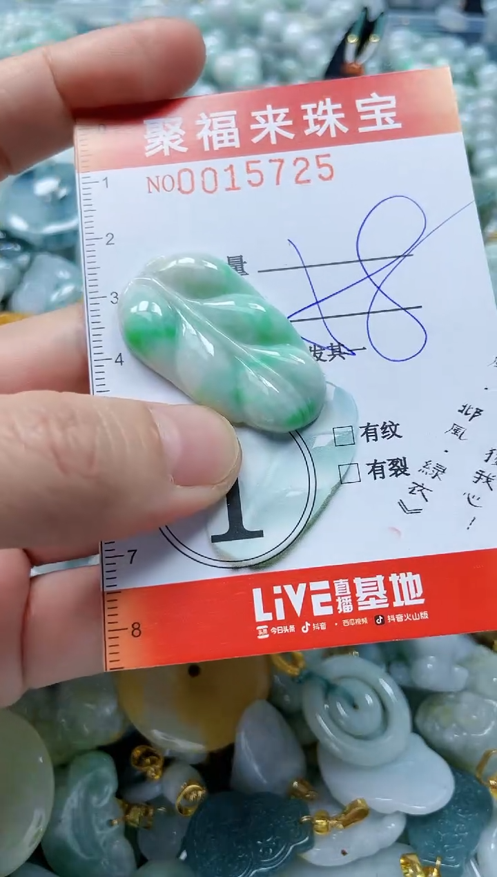 【闪购商品】翡翠颈饰未镶嵌闪购0015725