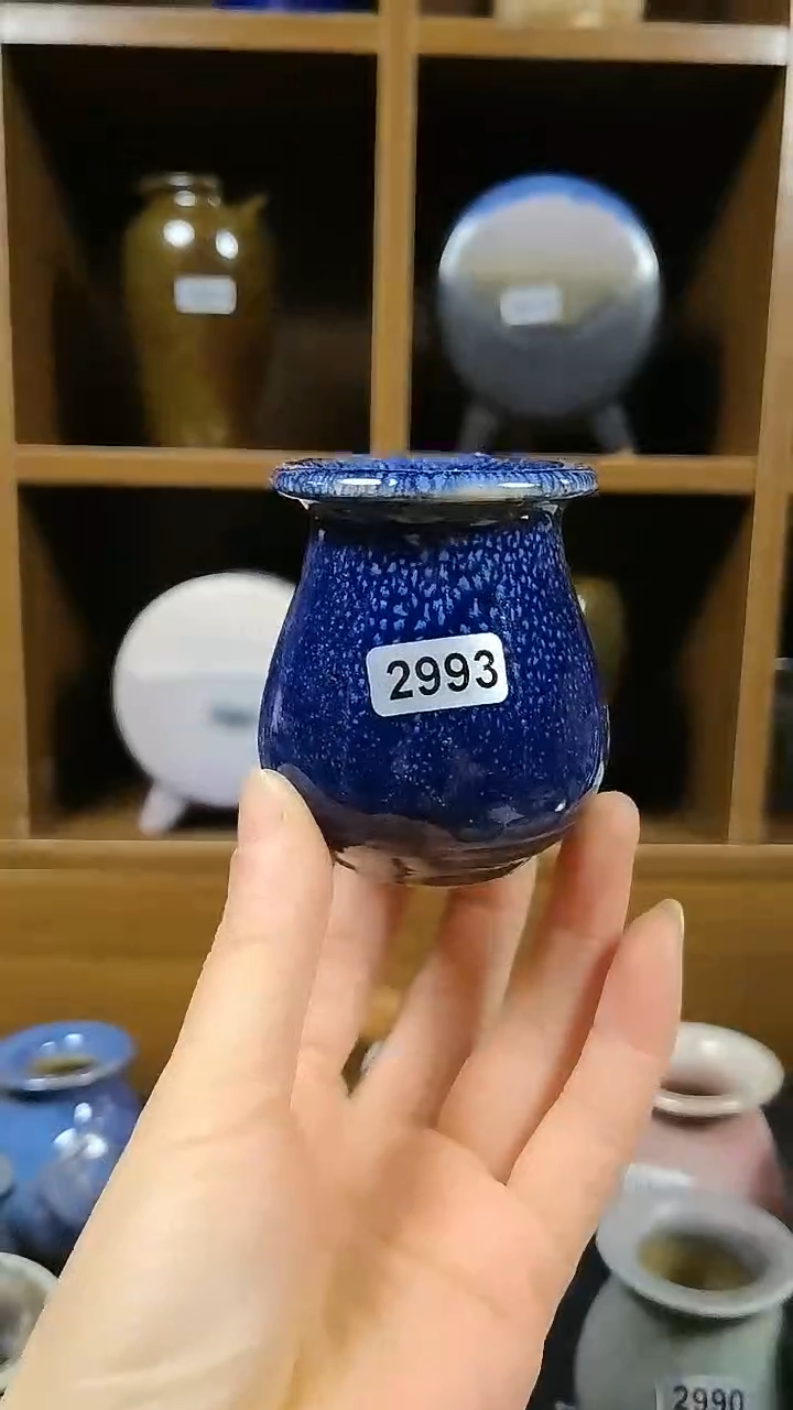 【闪购商品】红陶2993