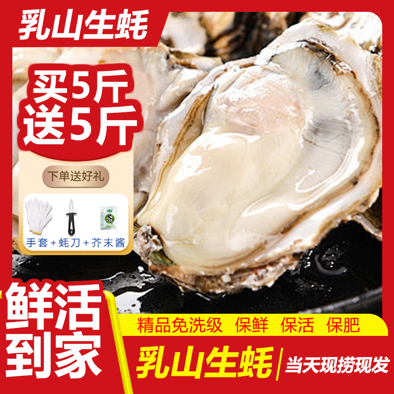 教授专属小蚝【买五斤送五斤】正宗乳山生蚝鲜活海蛎子生鲜冷水蚝