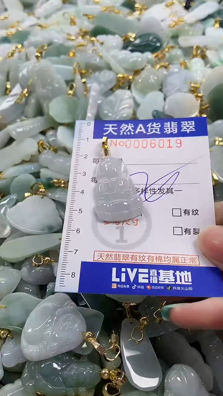 颈饰未镶嵌翡翠纯天然a货翡翠