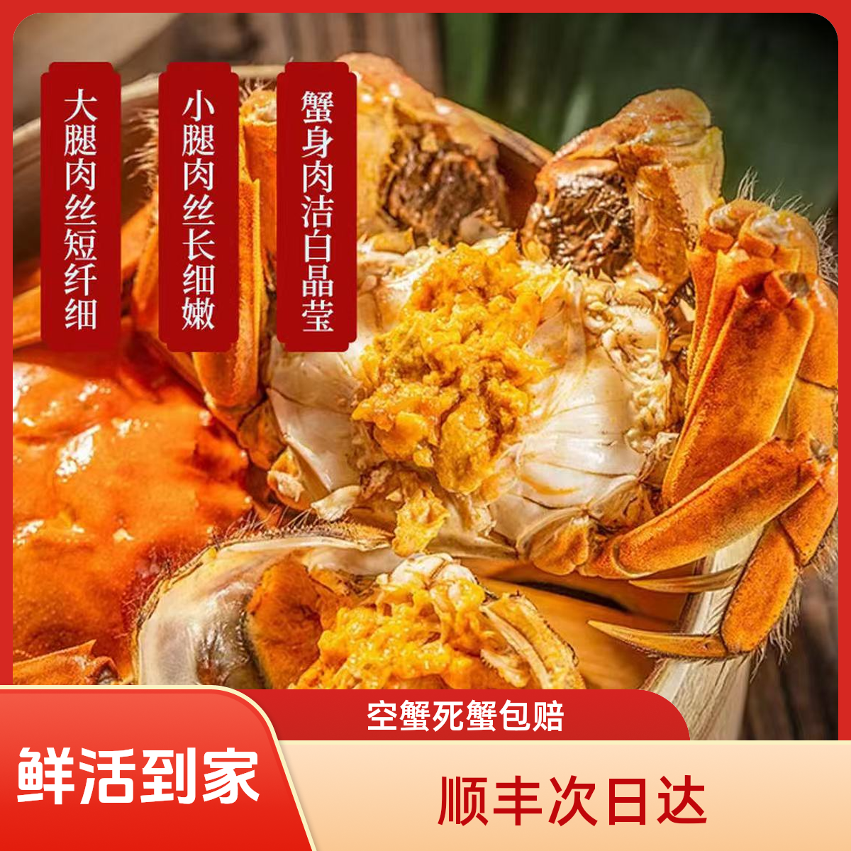 【精选肥活蟹】【大全母蟹】盘锦河蟹海鲜1.5-1.2两/只 到手20只【顺丰明天到】死蟹按只赔