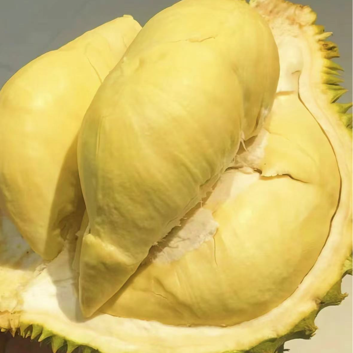 软糯正好吃2斤新鲜纯肉 核小金枕泰国