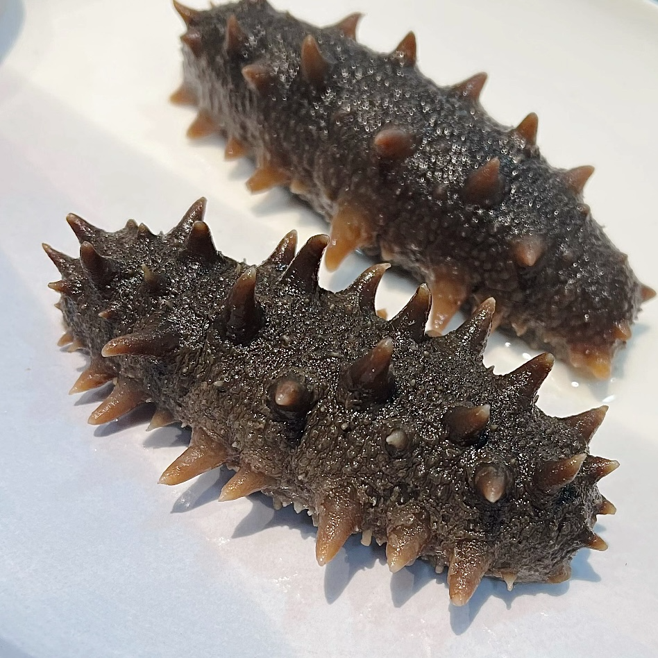 大连底播海参高品质真筋道6-7头2斤