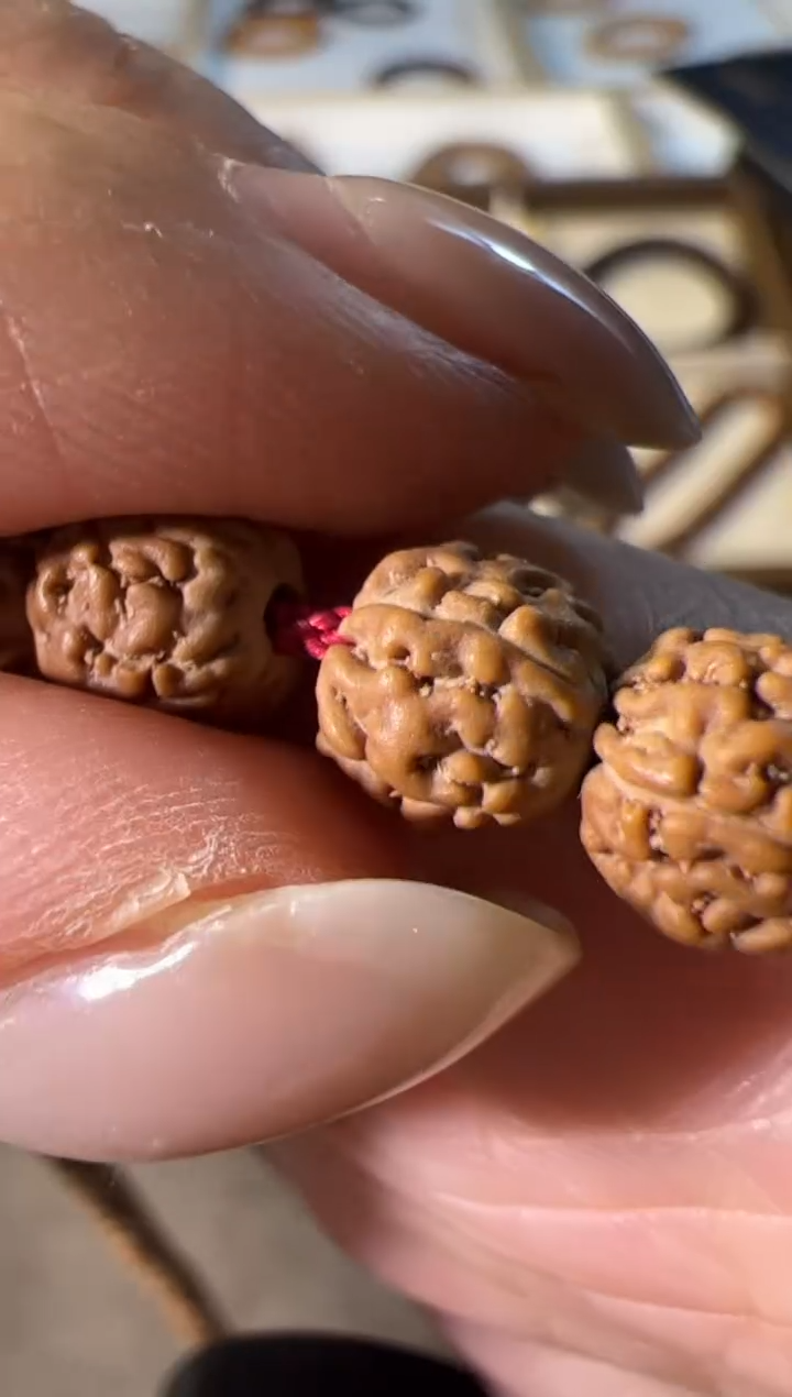 金刚菩提手串原桩一代龙108长串