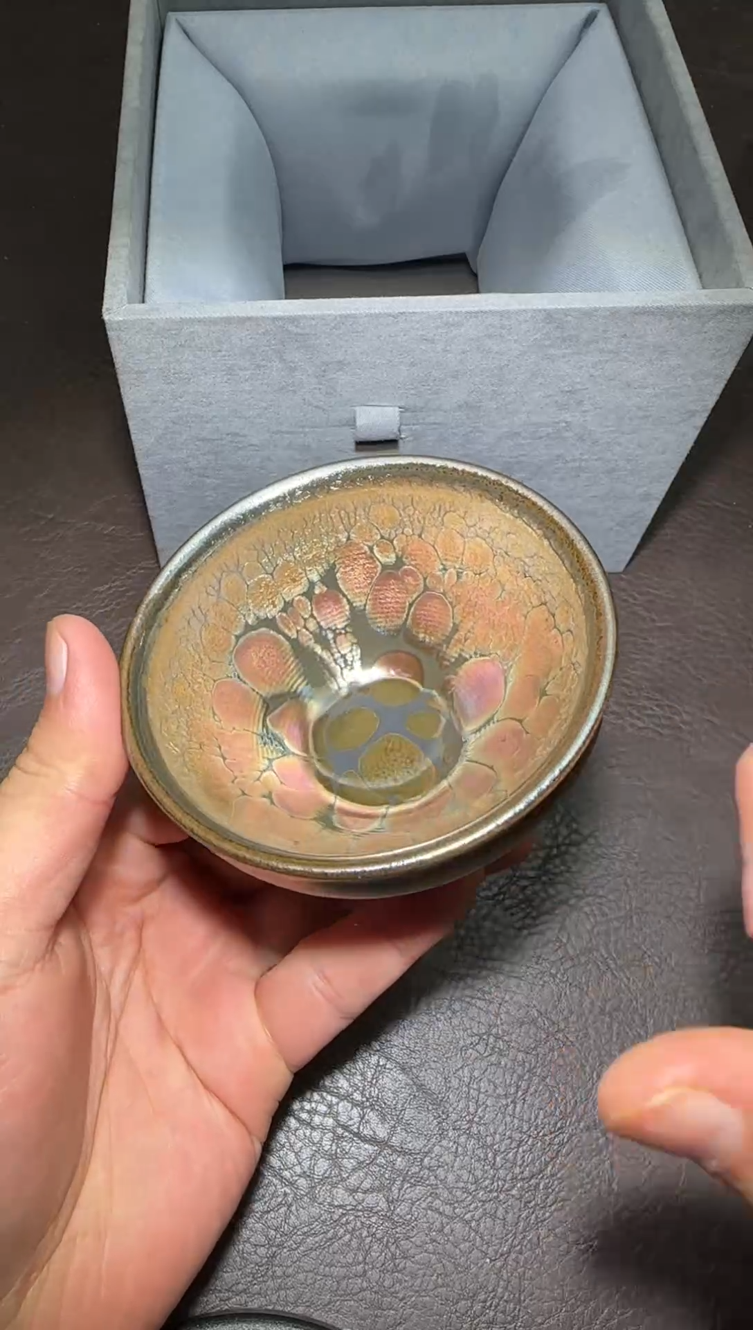 茶盏186号李永辉龙葵