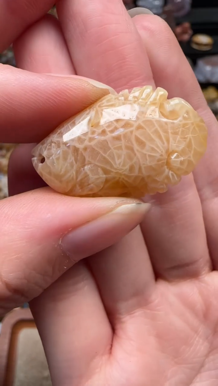 颈饰未镶嵌硅化珊瑚（珊瑚玉）205