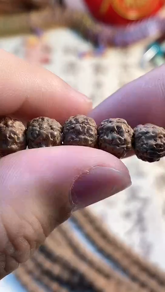 金刚菩提吊坠728定制级帝王龙尺寸8-10