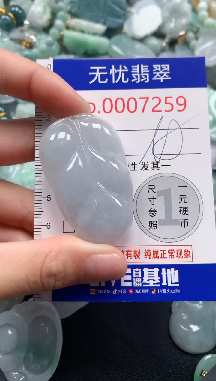 颈饰未镶嵌翡翠7259