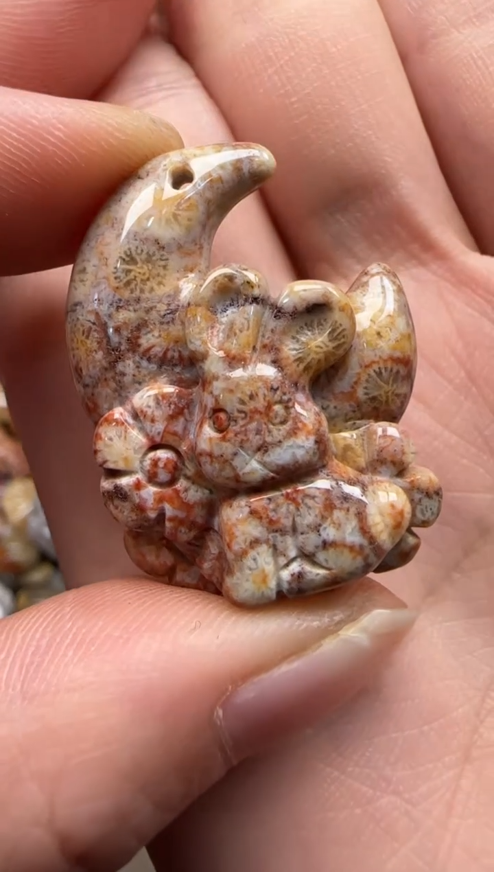 【闪购商品】硅化珊瑚（珊瑚玉）颈饰未镶嵌506