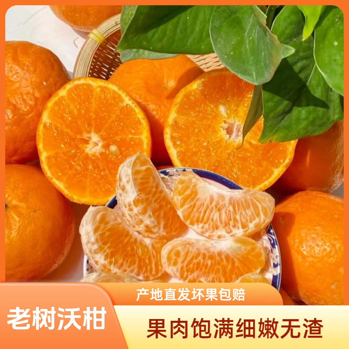 N广西正宗老树花皮果沃柑产地直发皮薄多汁果园新鲜现摘直发当季商品图