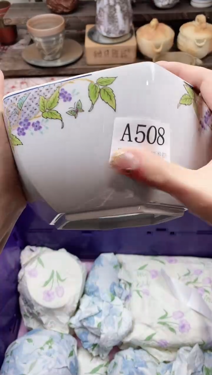 瓷片˗****妞                A508
