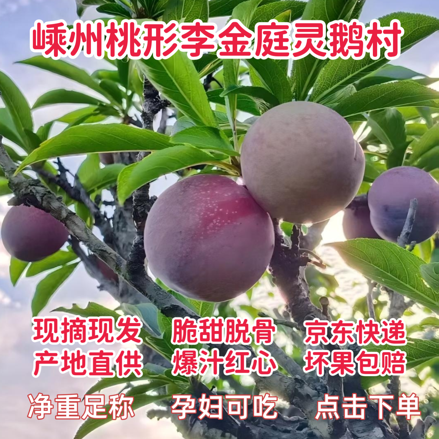 嵊州正宗桃形李现摘红脆甜脱骨李子当季孕妇水果5斤装整箱自产商品图