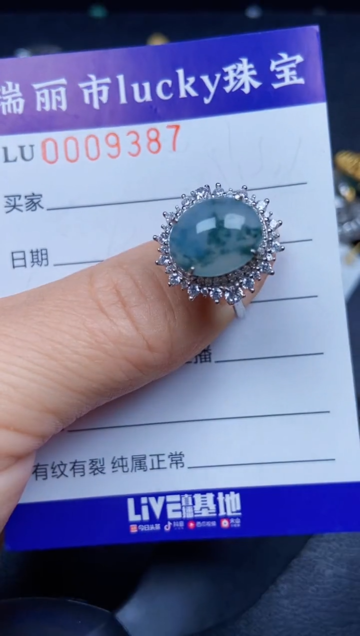 【闪购商品】翡翠颈饰银S925镶嵌9387