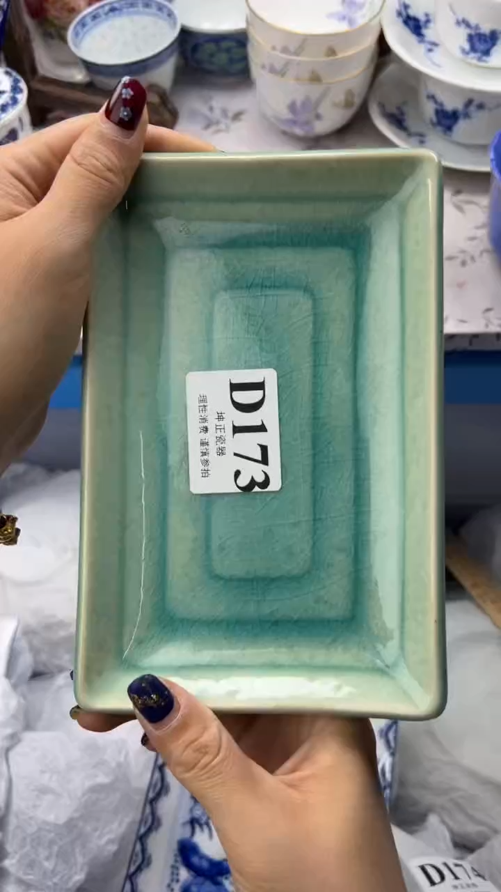 瓷片          D173