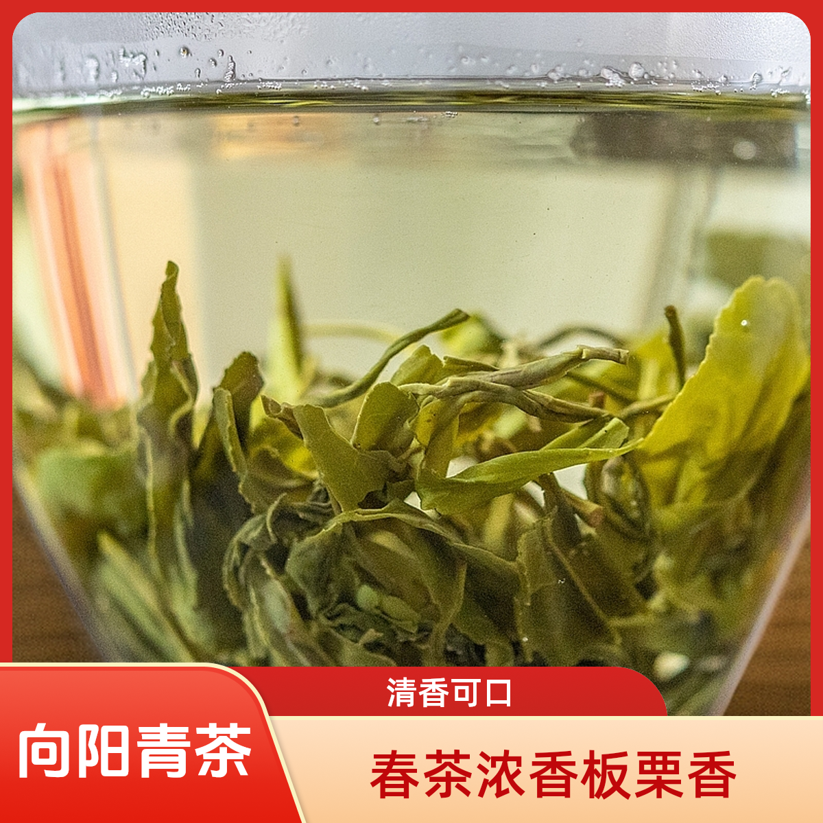 向阳青日照绿茶2025露天春茶浓香型板栗香豌豆鲜鲜爽醇