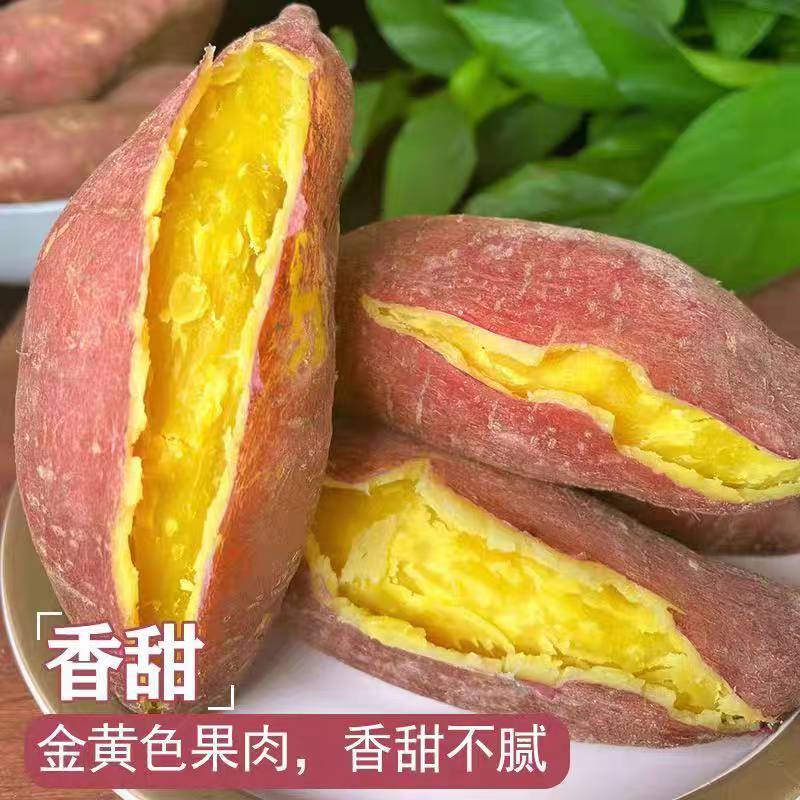 [9斤老品种黄心蜜薯]老品种老味道开封黄河沙地蜜薯