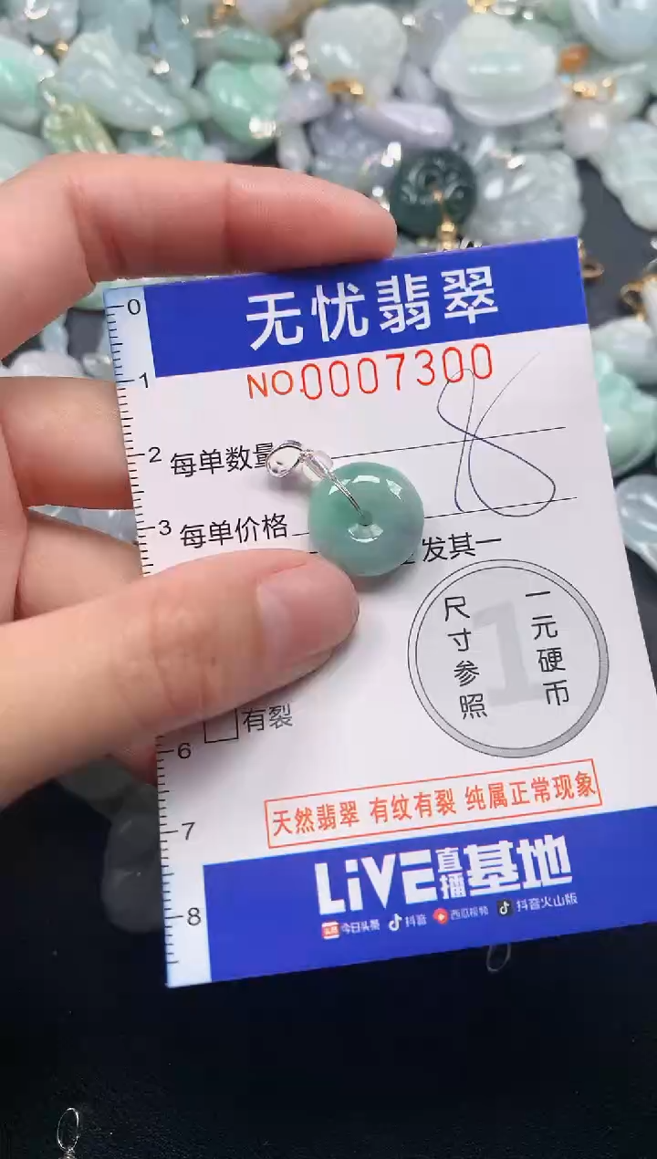 颈饰未镶嵌翡翠7300