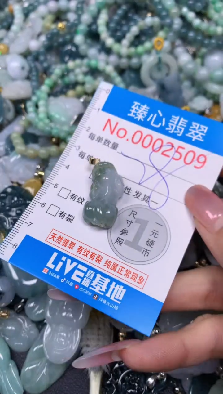 【闪购商品】翡翠颈饰未镶嵌含绳0002509