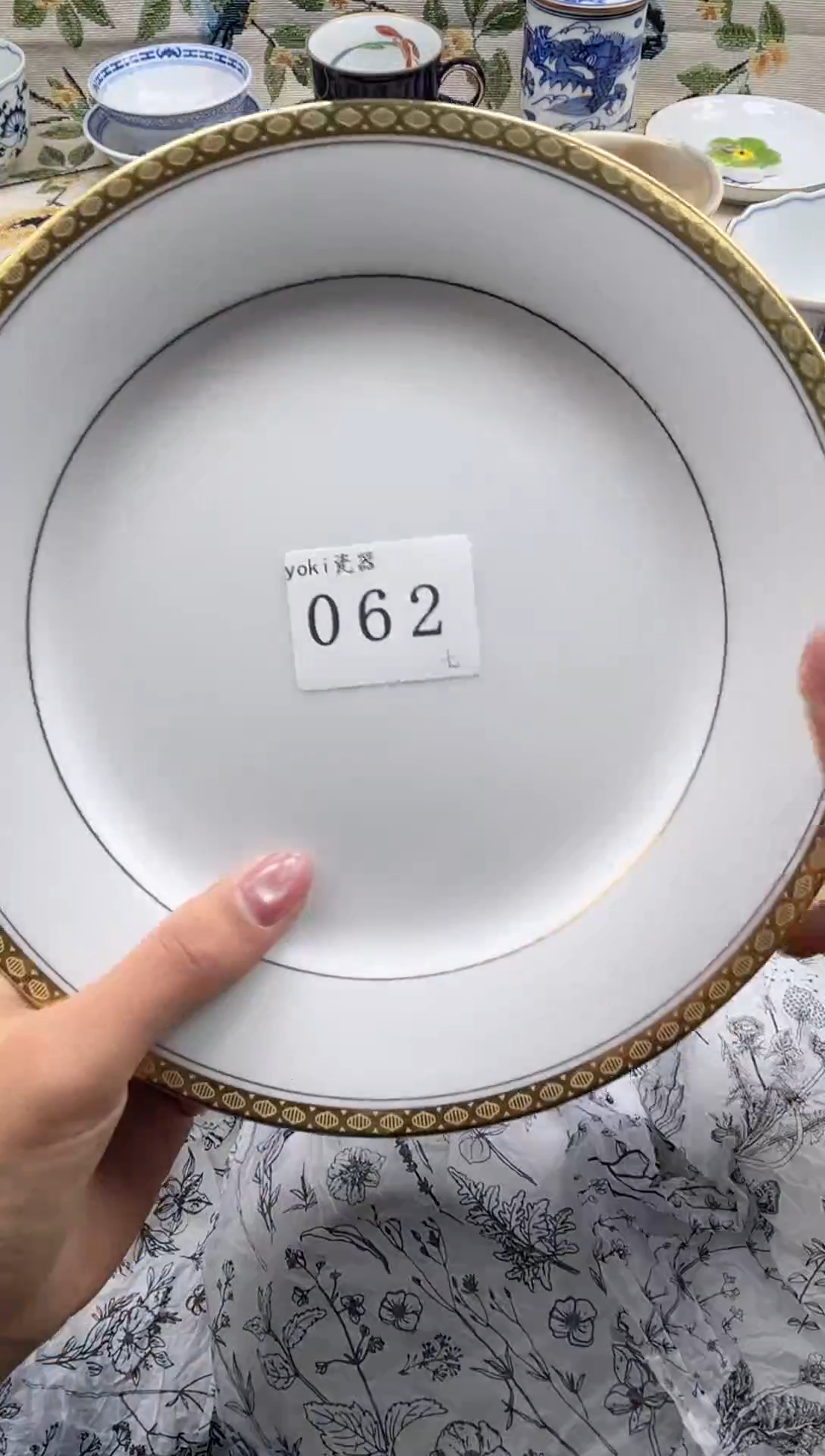 瓷片性***虫           062