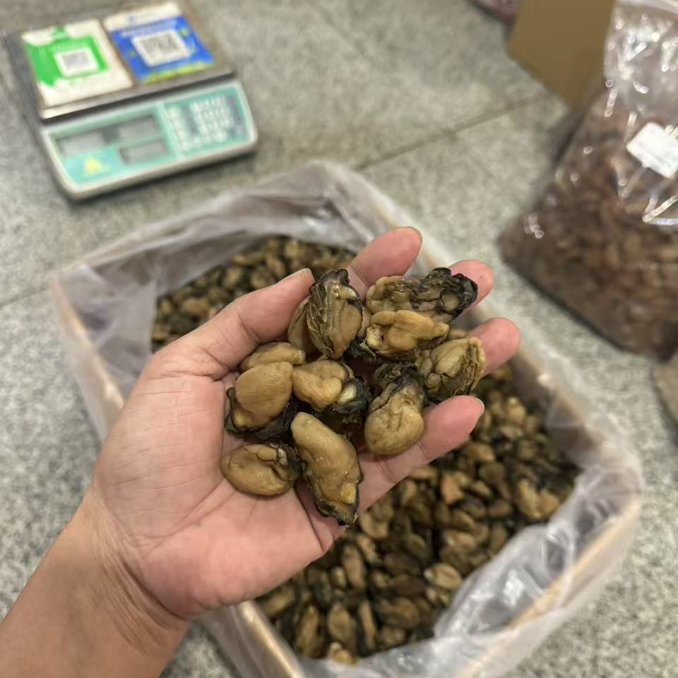 100头淡干蚝仕 淡干淡晒海味干货500g