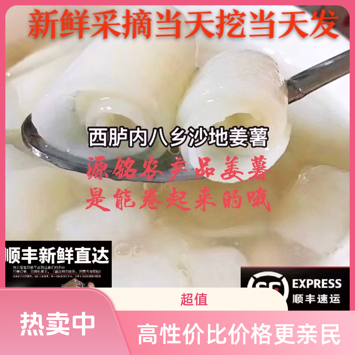 正宗西胪内八乡沙地姜薯