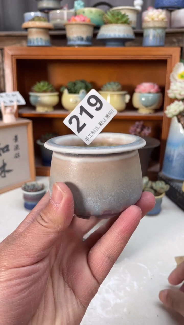 瓷片219小芳直播编号