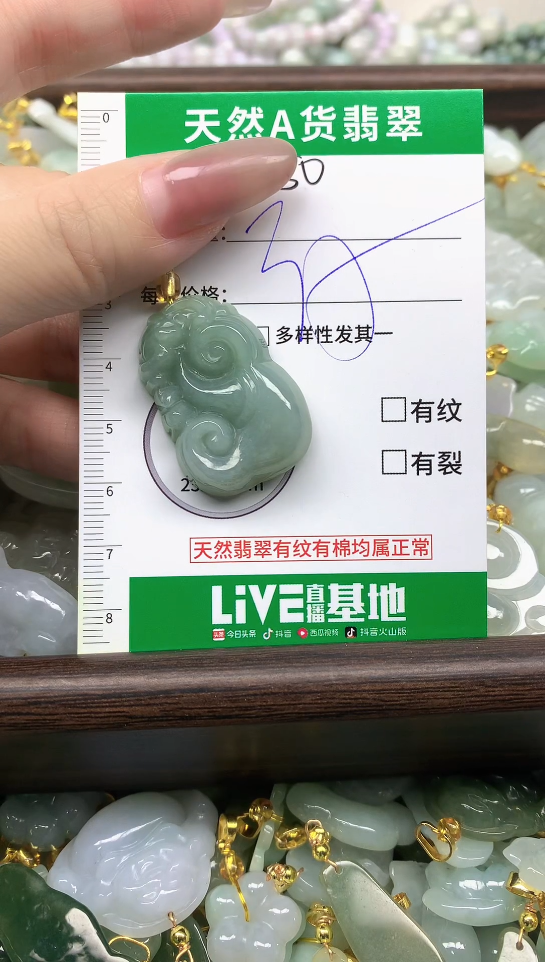 颈饰未镶嵌翡翠纯天然缅甸A货翡翠-50