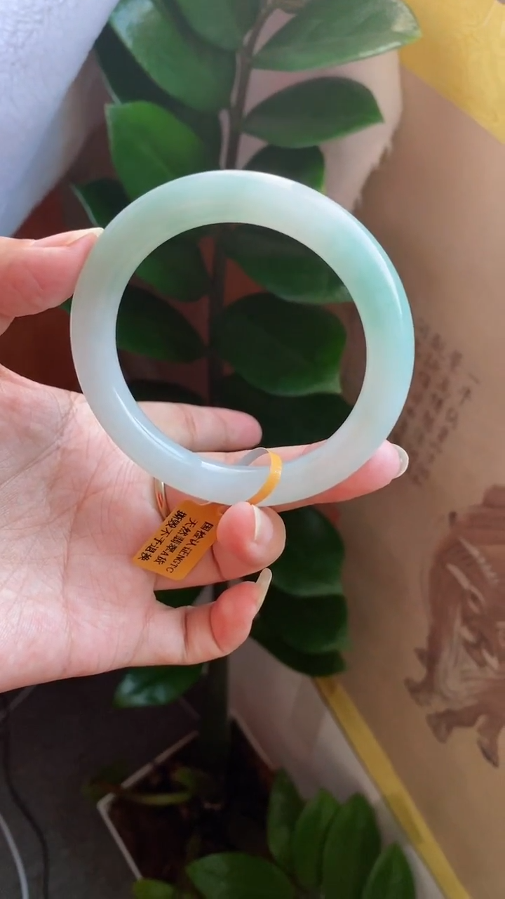 【闪购商品】翡翠手镯未镶嵌（十星强推）晴底金丝绿圆条27号