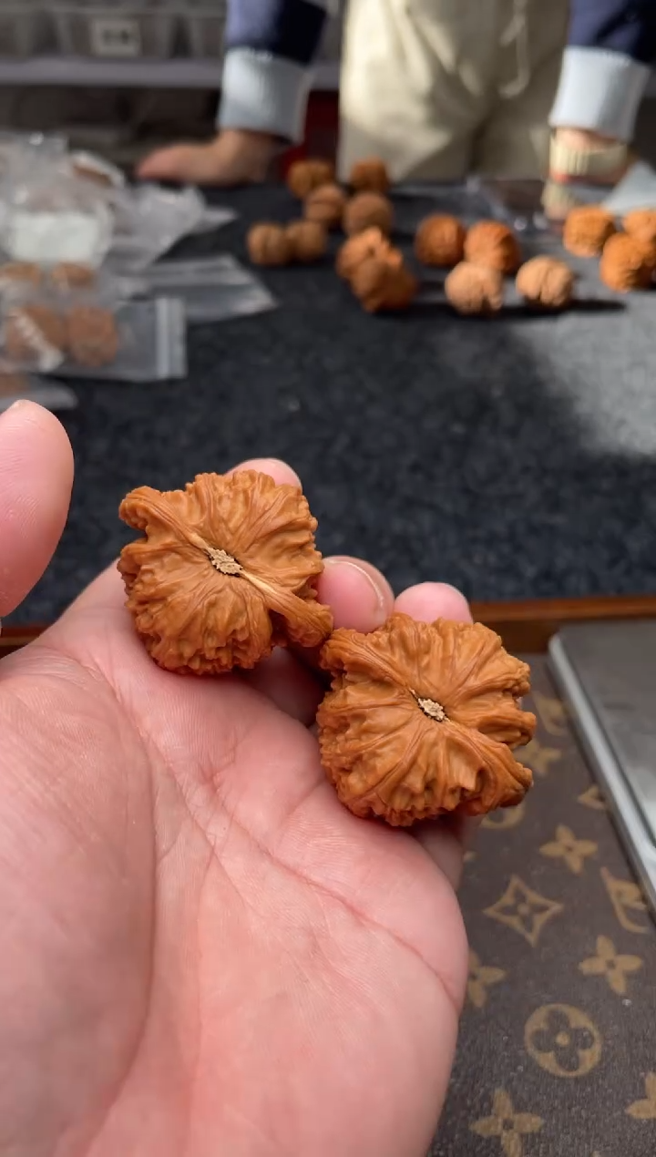 把件文玩核桃B 92号 43尺白狮子