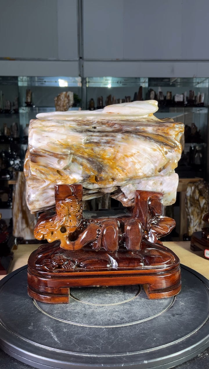 硅化玉珠宝奇石未镶嵌1