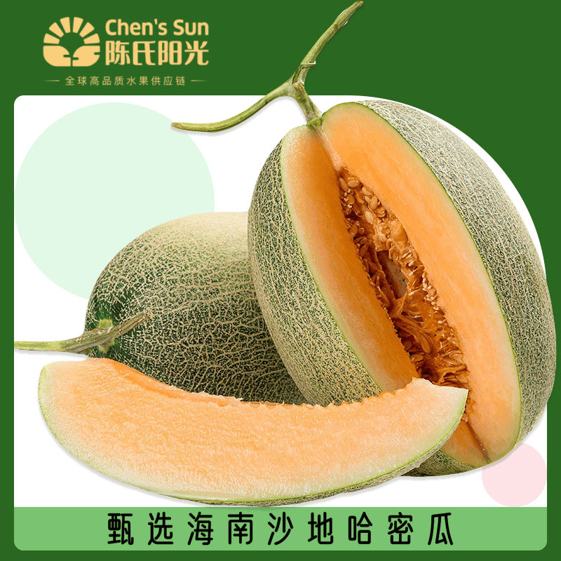 【陈氏阳光】海南沙地哈密瓜香甜多汁新鲜崔口档口直发顺丰包邮