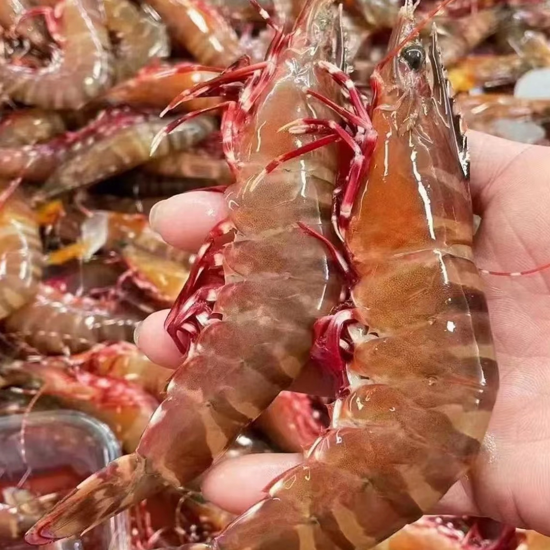 野生红爪虾  4-8条左右一斤 速冻锁鲜发货 陆