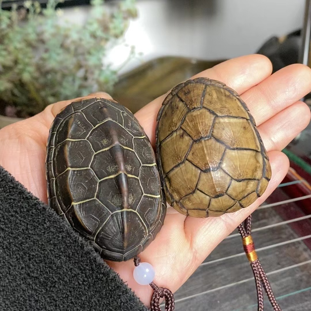 直播间一物一拍 以直播展示为准 文玩龟甲手把件 摆件家居