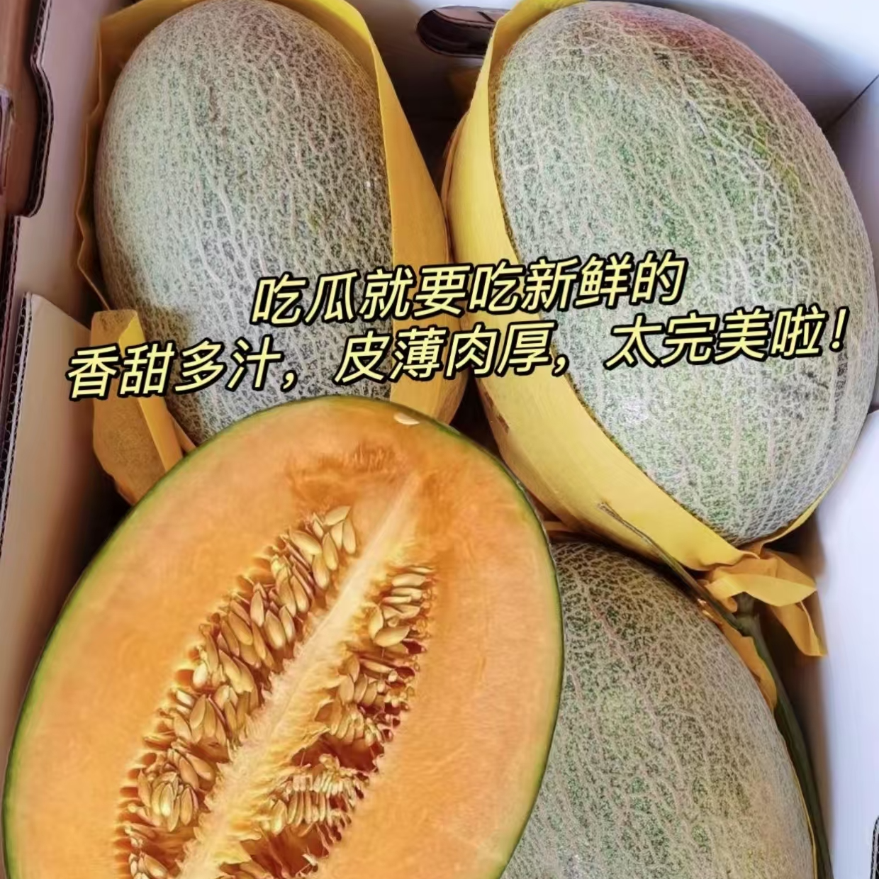 【山南小时达】正宗海南哈密瓜新鲜水果疆西州蜜瓜