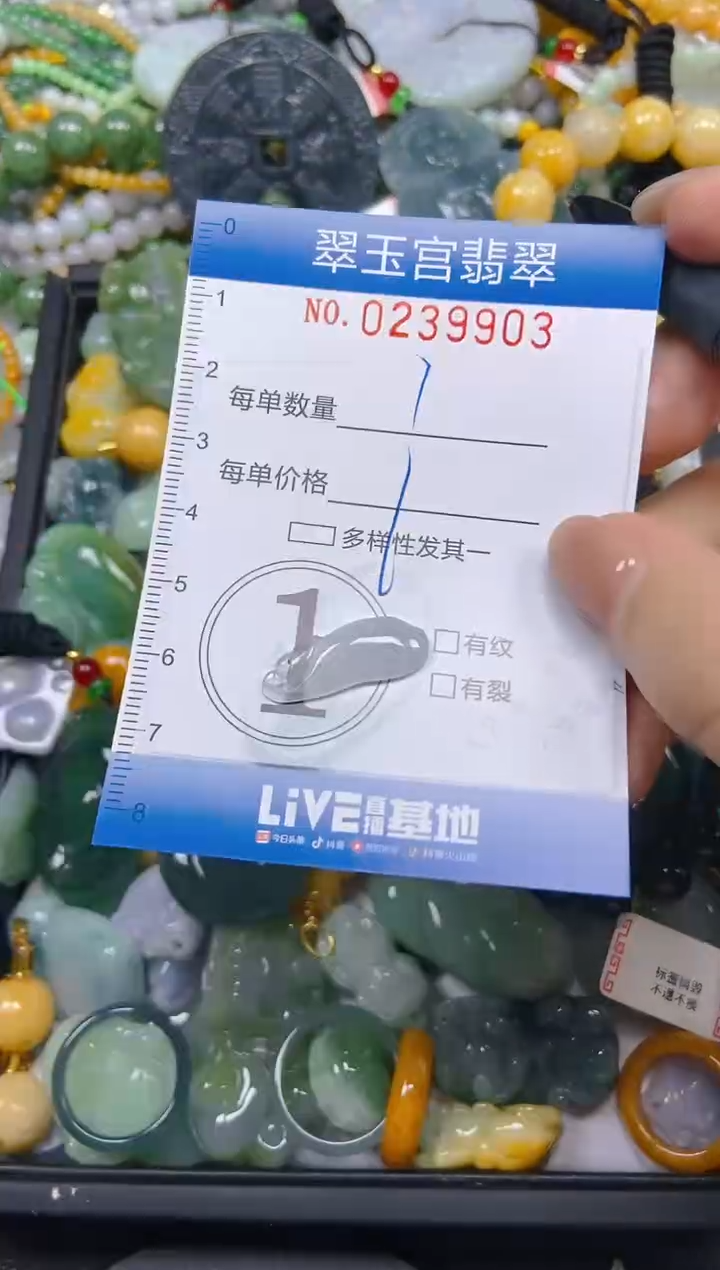 颈饰未镶嵌翡翠闪购C0239903