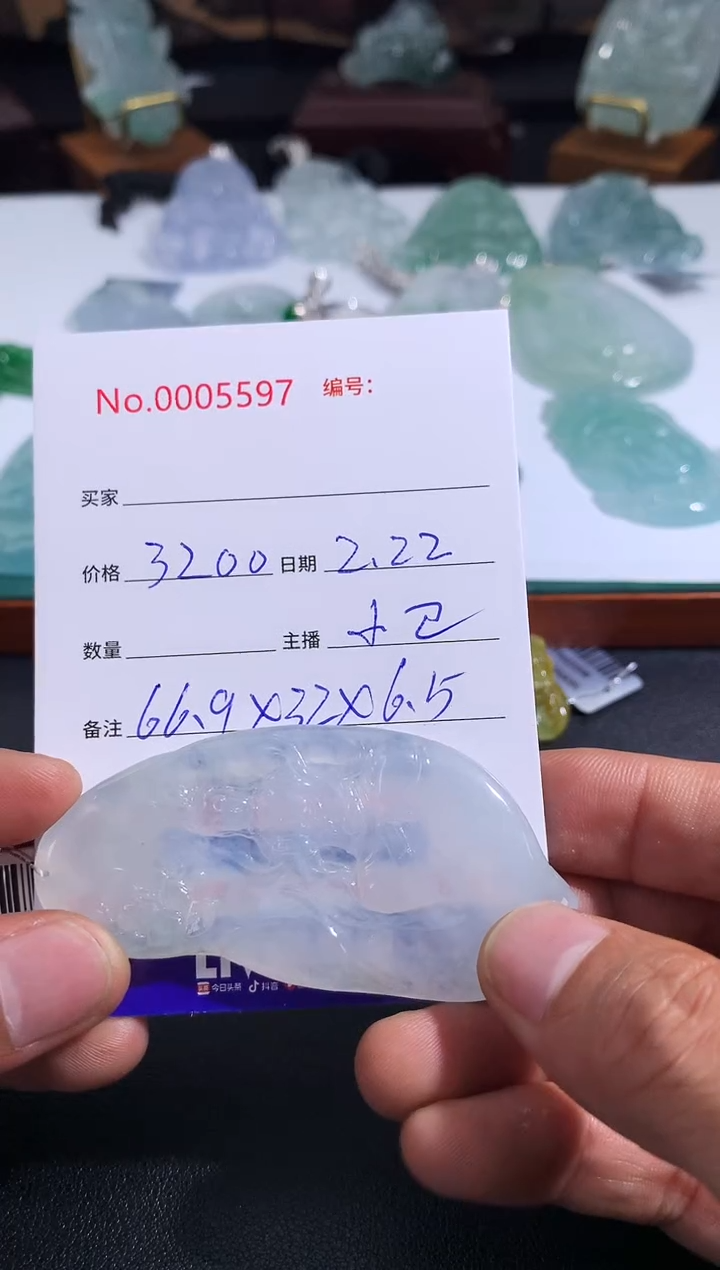 【闪购商品】翡翠颈饰未镶嵌站观音