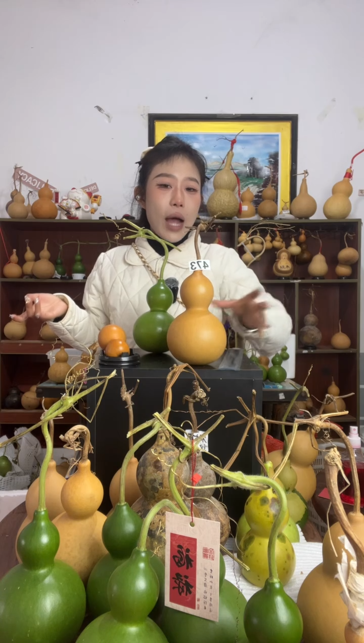 473天然葫芦摆件 一物一拍龙头不保售后