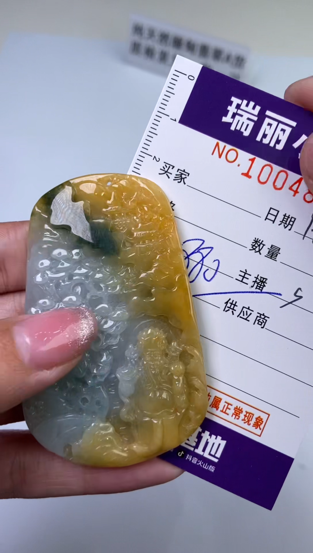 【闪购商品】翡翠颈饰未镶嵌1004876