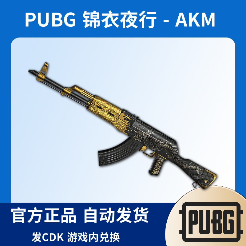 PUBG绝地求生皮肤锦衣夜行 - AKM激活CDK兑换码Steam端游