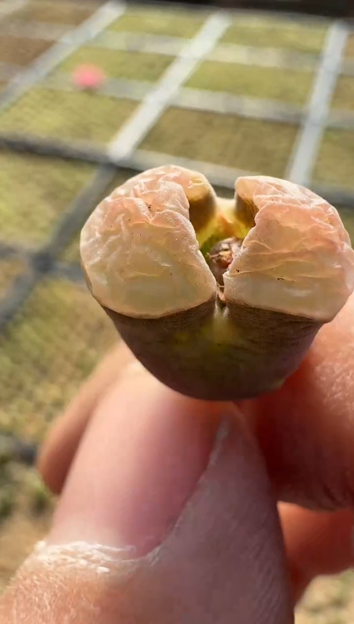 【闪购商品】8---5