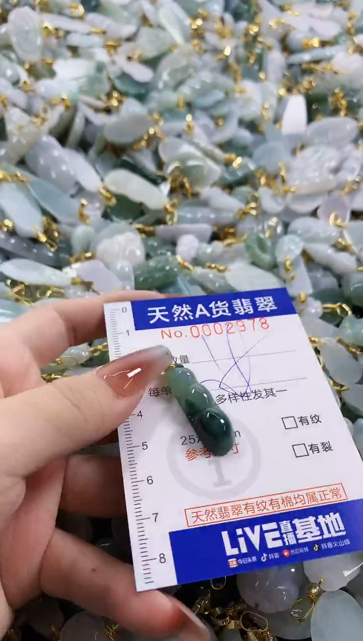 颈饰未镶嵌翡翠天然A货翡翠