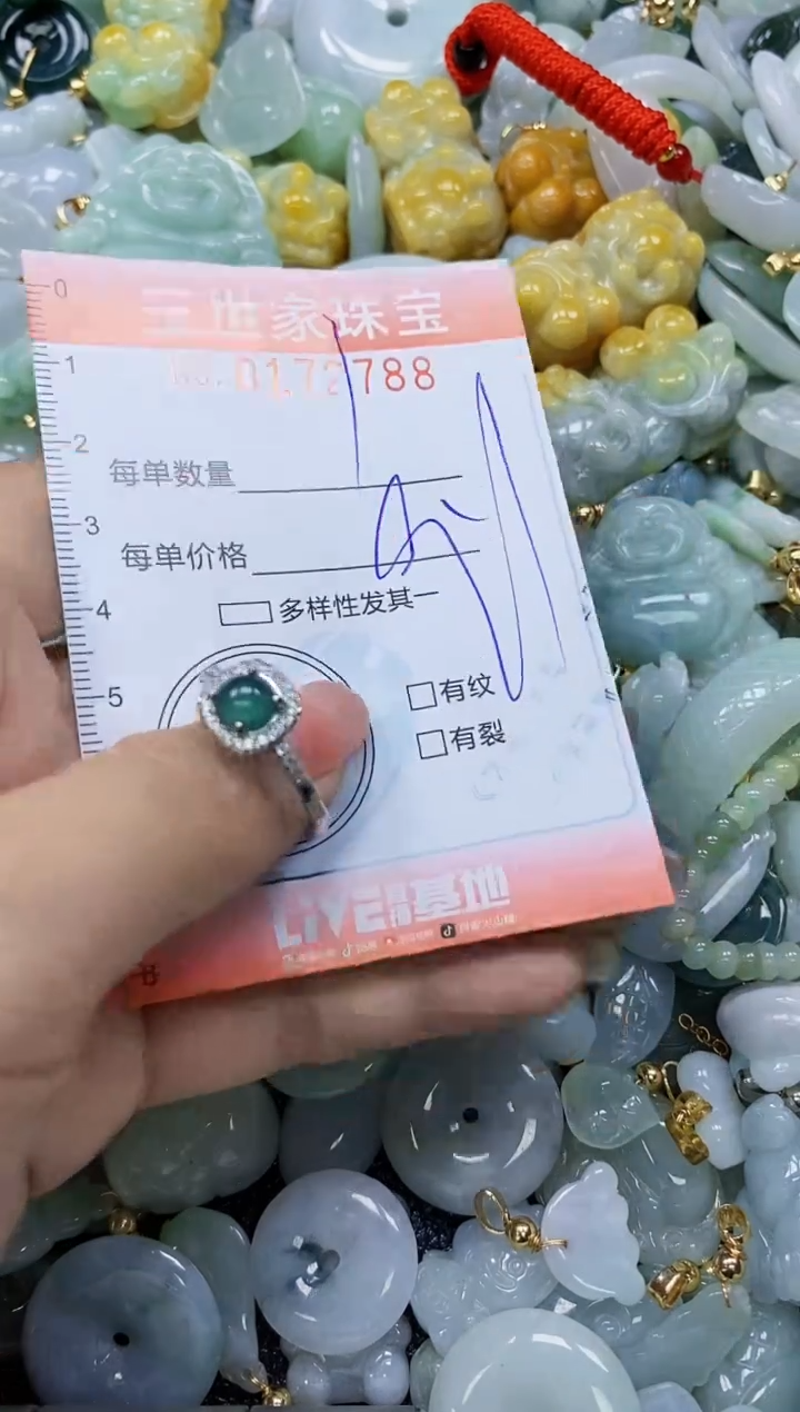 【闪购商品】翡翠颈饰未镶嵌闪购0172788
