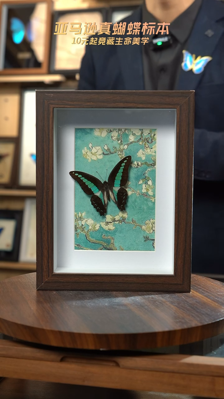 青凤蝶8寸复古框腊梅款
